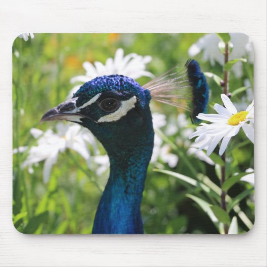 Tapis De Souris Tablette de souris Peacock et Daisy (Devant)