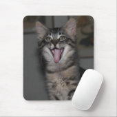 Tapis De Souris Tablette de souris pour chaton (Avec souris)