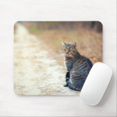 Tapis De Souris Tabulation de chemin d'automne (Avec souris)