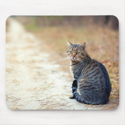 Tapis De Souris Tabulation de chemin d'automne (Devant)