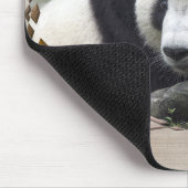 TAPIS DE SOURIS TAI SHAN (Coin)