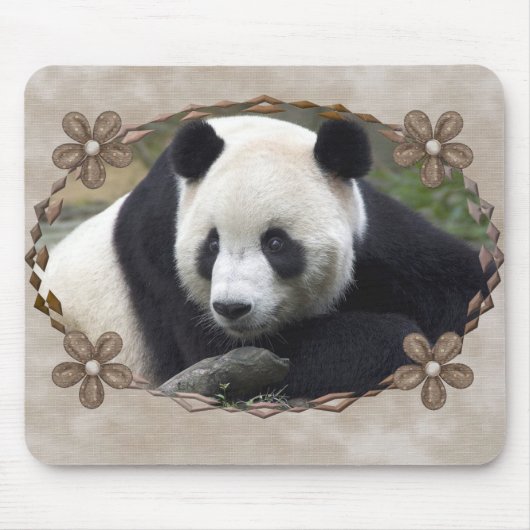 TAPIS DE SOURIS TAI SHAN (Devant)