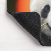 TAPIS DE SOURIS TAI SHAN (Coin)