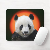 TAPIS DE SOURIS TAI SHAN (Avec souris)