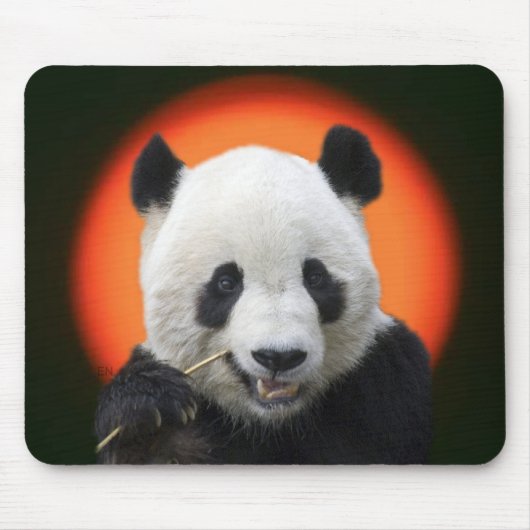 TAPIS DE SOURIS TAI SHAN (Devant)