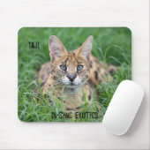 Tapis De Souris Taji - (Avec souris)