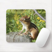 Tapis De Souris Tamia absorbant le Sun Mousepad (Avec souris)
