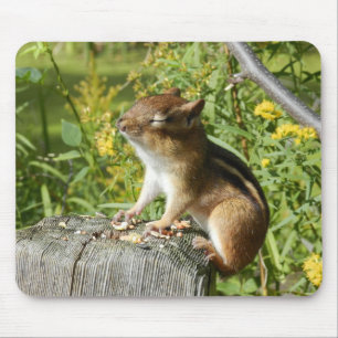 Tapis De Souris Tamia absorbant le Sun Mousepad