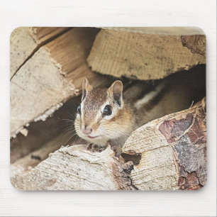 Tapis De Souris Tamia dans une pile en bois