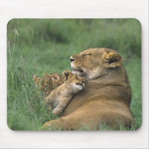 Tapis De Souris Tanzanie, cratère du Ngorongoro. Lionne africaine