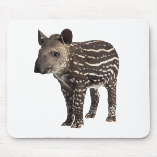 Tapis De Souris Tapir (Devant)