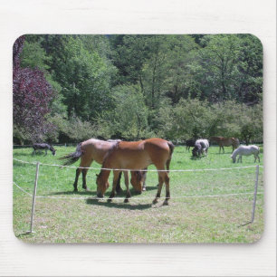 Tapis De Souris Tapis souris avec chevaux