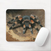Tapis De Souris Tarantula du genou rouge mexicain araignée de sour (Avec souris)