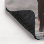 Tapis De Souris tarifs, cadix, espagne (Coin)