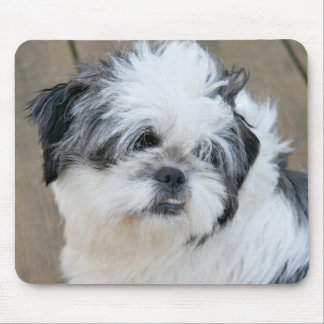 Tapis De Souris tarte