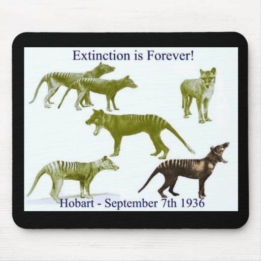 Tapis de souris tasmanien de Thylacine de tigre (Devant)