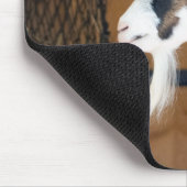 Tapis De Souris Tauernschecken-Ziege (Coin)
