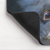 Tapis de souris Taz (Coin)