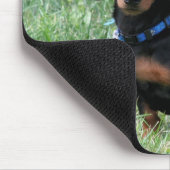 Tapis De Souris Teckel (Coin)