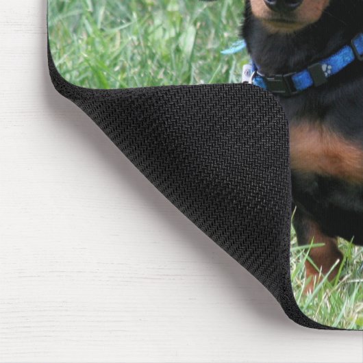 Tapis De Souris Teckel (Coin)