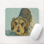 Tapis De Souris teckel à poils durs (Avec souris)