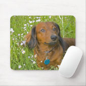 Tapis De Souris teckel aux cheveux longs (Avec souris)