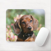 Tapis De Souris Teckel bronzage de Miniture (Avec souris)