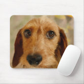 Tapis De Souris Teckel mignon (fil Brown d'une chevelure) dans les (Avec souris)