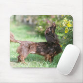 Tapis De Souris Teckel miniature aux cheveux longs 1 (Avec souris)