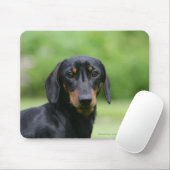 Tapis De Souris Teckel noir et bronzage 1 de Miniture (Avec souris)