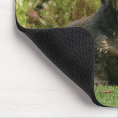 Tapis De Souris Teckel standard à poils durs (Coin)