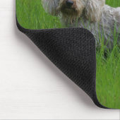 Tapis De Souris Teckel standard à poils durs dans l'herbe (Coin)