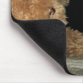 Tapis De Souris Teddy Bear (Coin)