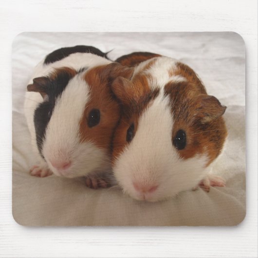 Tapis De Souris Telmha et Louise (Devant)
