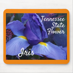 Tapis De Souris Tennessee State Flower Iris Nature Photographie