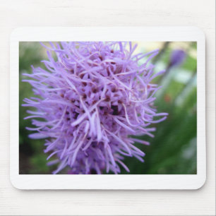 Tapis De Souris Tentacle Spider Violet Flower