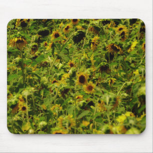 Tapis De Souris Terrain de tournesol