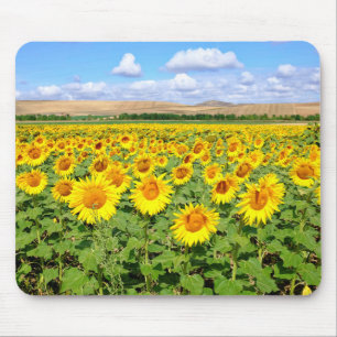 Tapis De Souris Terrain de tournesol