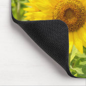 Tapis De Souris Terrain de tournesol jaune (Coin)