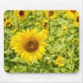 Tapis De Souris Terrain de tournesol jaune (Devant)