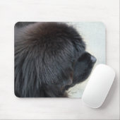 Tapis De Souris Terre (Avec souris)