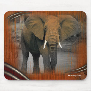TAPIS DE SOURIS TERRE GRANDE
