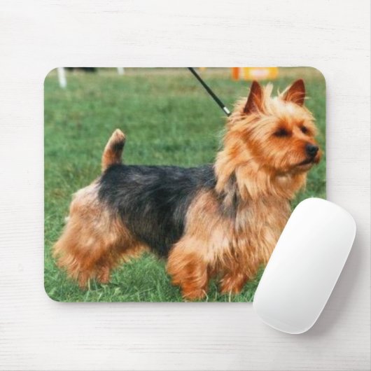 Tapis De Souris Terrier australien Mousepad (Avec souris)
