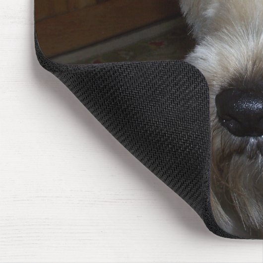 Tapis De Souris Terrier blond comme les blés (Coin)