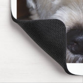 Tapis De Souris Terrier blond comme les blés doucement enduit (Coin)