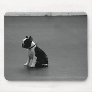Tapis De Souris Terrier de Boston de chiot de DRU