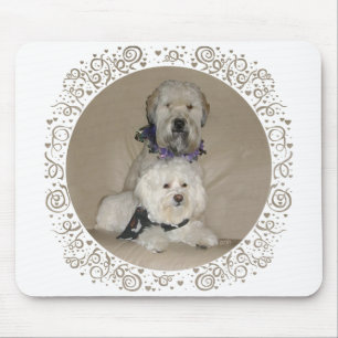 Tapis De Souris Terrier Wheaten et Havanais