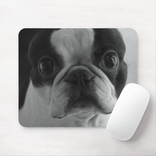 Tapis De Souris Terriers de Danson Boston (Avec souris)