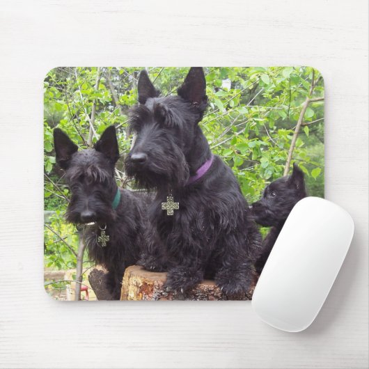 Tapis De Souris Terriers écossais (Avec souris)