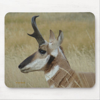 Tapis De Souris Tête d'Antilope d'Amérique profil A4